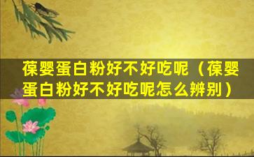 葆婴蛋白粉好不好吃呢（葆婴蛋白粉好不好吃呢怎么辨别）