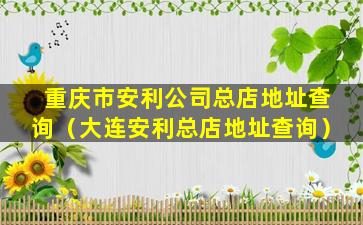 重庆市安利公司总店地址查询（大连安利总店地址查询）
