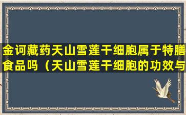 金诃藏药天山雪莲干细胞属于特膳食品吗（天山雪莲干细胞的功效与作用）