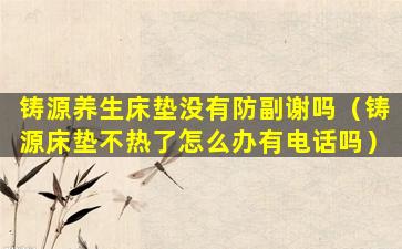 铸源养生床垫没有防副谢吗（铸源床垫不热了怎么办有电话吗）