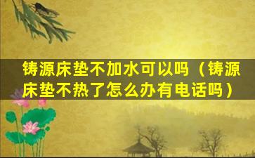 铸源床垫不加水可以吗（铸源床垫不热了怎么办有电话吗）