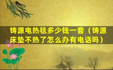 铸源电热毯多少钱一套（铸源床垫不热了怎么办有电话吗）