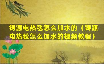 铸源电热毯怎么加水的（铸源电热毯怎么加水的视频教程）