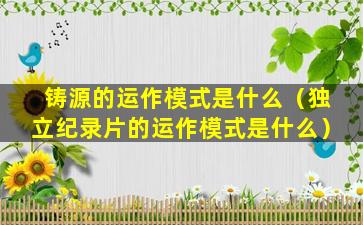 铸源的运作模式是什么（独立纪录片的运作模式是什么）
