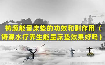 铸源能量床垫的功效和副作用（铸源水疗养生能量床垫效果好吗）
