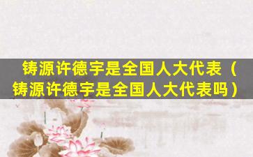 铸源许德宇是全国人大代表（铸源许德宇是全国人大代表吗）