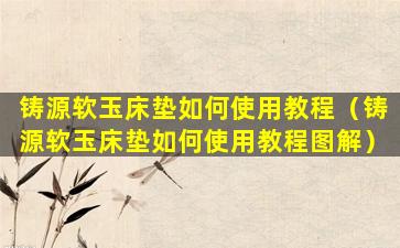 铸源软玉床垫如何使用教程（铸源软玉床垫如何使用教程图解）