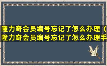 隆力奇会员编号忘记了怎么办理（隆力奇会员编号忘记了怎么办理手续）