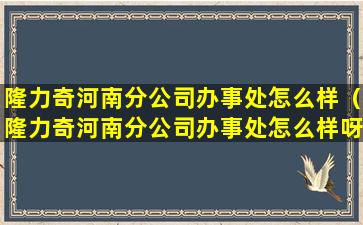隆力奇河南分公司办事处怎么样（隆力奇河南分公司办事处怎么样呀）